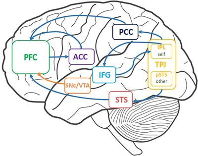 A Brain-Inspired Theory of Mind Spiking Neural Network for Reducing Safety Risks of Other Agents